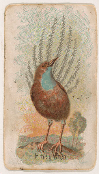 Emeu Wren, from the Zoo Birds series (E30) issued by The Philadelphia Confections Co. to promote Zoo Caramels, Issued by The Philadelphia Confections Co., Commercial color lithograph 