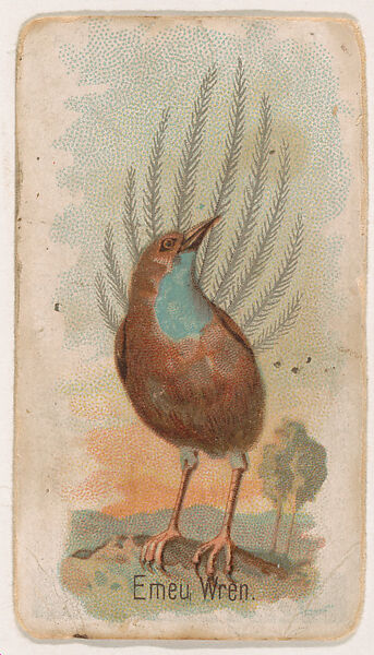 Emeu Wren, from the Zoo Birds series (E30) issued by The Philadelphia Confections Co. to promote Zoo Caramels, Issued by The Philadelphia Confections Co., Commercial color lithograph