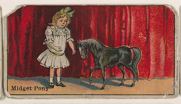 Midget Pony, from The Circus series (E44) issued by Messer's Gum