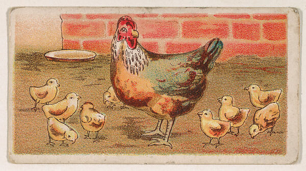 Rooster in yard surrounded by young chicks, from the Easter Subjects series (E45) issued by the American Caramel Company to promote Easter Caramels, Issued by the American Caramel Company, Philadelphia, Commercial color lithograph 