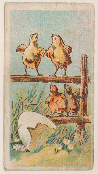Four chicks crowing on fence, from the Easter Subjects series (E45) issued by the American Caramel Company to promote Easter Caramels, Issued by the American Caramel Company, Philadelphia, Commercial color lithograph 