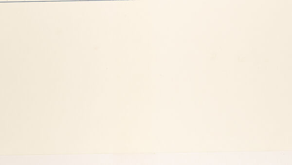 The Next to the Last, Arakawa (American, (born Japan), Nagoya 1936–2010 New York), Colored silkscreen