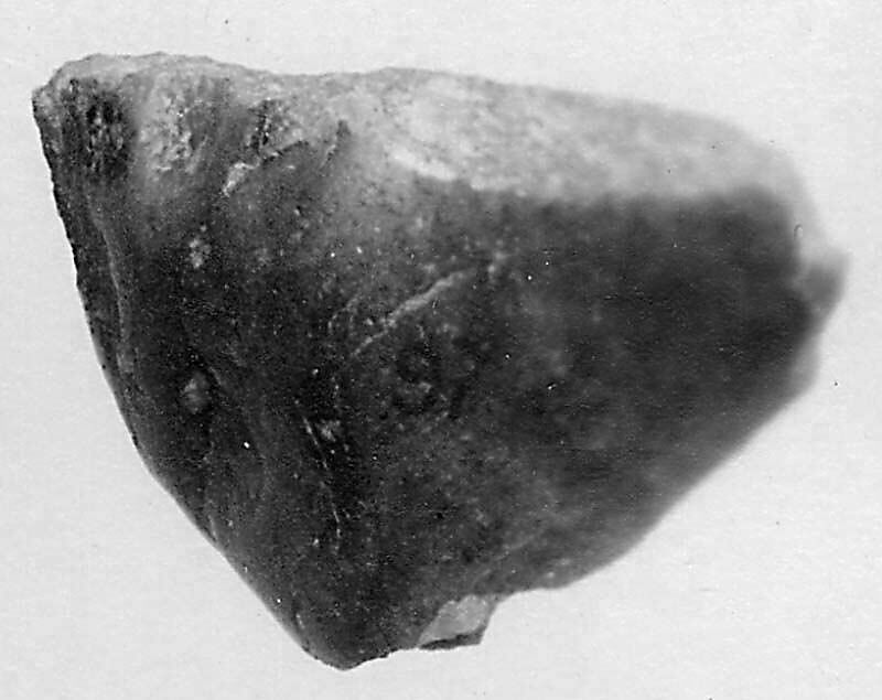 Fragment, Nephrite, China (possibly Turkestan) 