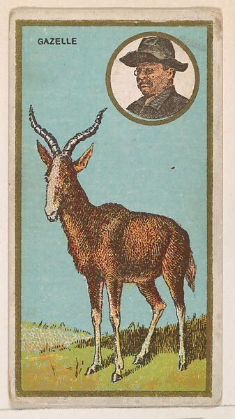 Gazelle, from the "Teddy's Trophies" series (E27) for the American Caramel Company, Issued by the American Caramel Company, Philadelphia, Commercial color lithograph 