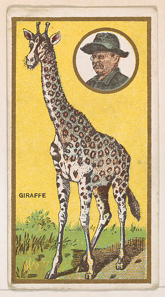 Giraffe, from the "Teddy's Trophies" series (E27) for the American Caramel Company, Issued by the American Caramel Company, Philadelphia, Commercial color lithograph 