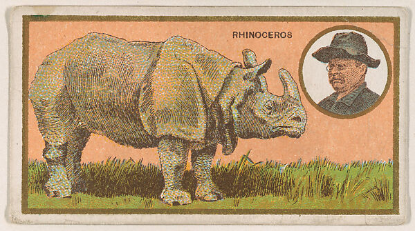 Rhinoceros, from the "Teddy's Trophies" series (E27) for the American Caramel Company, Issued by the American Caramel Company, Philadelphia, Commercial color lithograph 