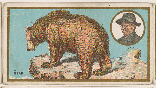 Bear, from the "Teddy's Trophies" series (E27) for the American Caramel Company, Issued by the American Caramel Company, Philadelphia, Commercial color lithograph 