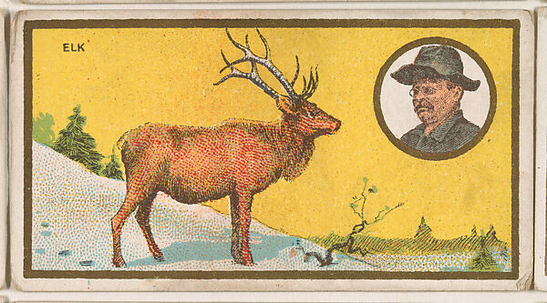 Elk, from the "Teddy's Trophies" series (E27) for the American Caramel Company, Issued by the American Caramel Company, Philadelphia, Commercial color lithograph 