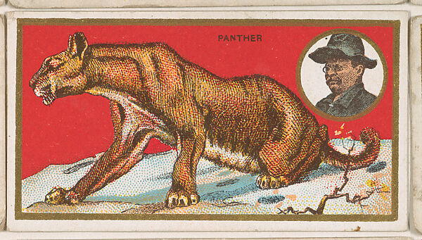 Panther, from the "Teddy's Trophies" series (E27) for the American Caramel Company, Issued by the American Caramel Company, Philadelphia, Commercial color lithograph 