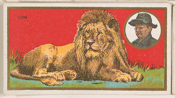 Lion, from the "Teddy's Trophies" series (E27) for the American Caramel Company, Issued by the American Caramel Company, Philadelphia, Commercial color lithograph 