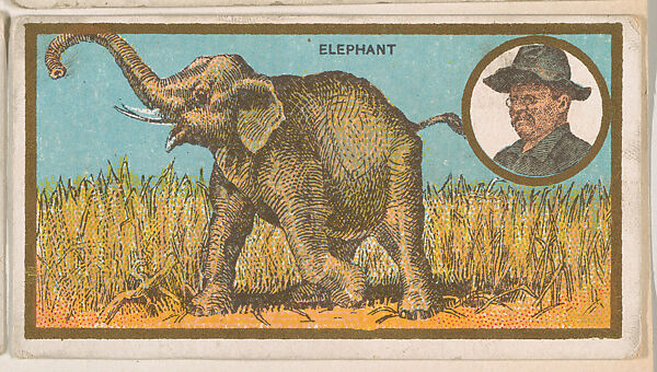 Elephant, from the "Teddy's Trophies" series (E27) for the American Caramel Company, Issued by the American Caramel Company, Philadelphia, Commercial color lithograph 