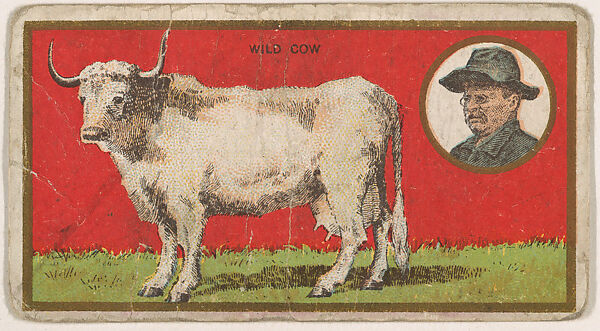 Wild Cow, from the "Teddy's Trophies" series (E27) for the American Caramel Company, Issued by the American Caramel Company, Philadelphia, Commercial color lithograph 