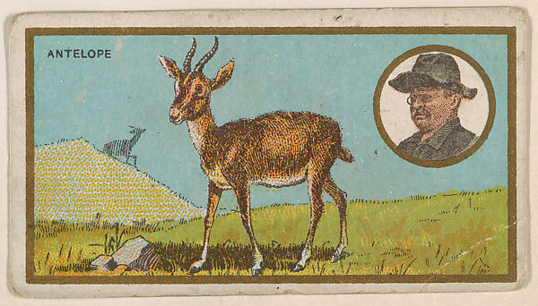 Antelope, from the "Teddy's Trophies" series (E27) for the American Caramel Company, Issued by the American Caramel Company, Philadelphia, Commercial color lithograph 
