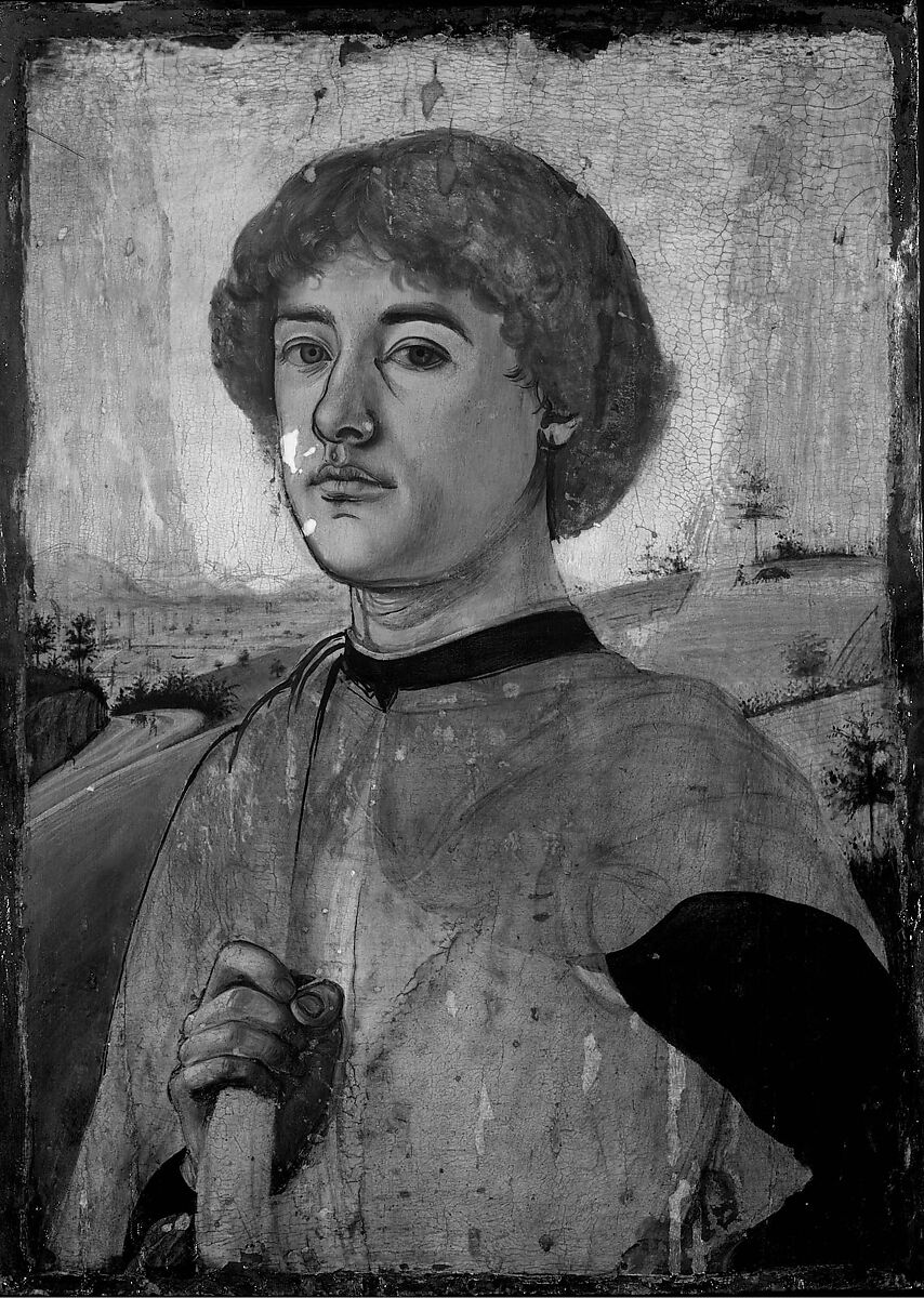 Portrait of a Young Man, Biagio d'Antonio (Italian, Florentine, active by 1472–died 1516), Tempera on wood