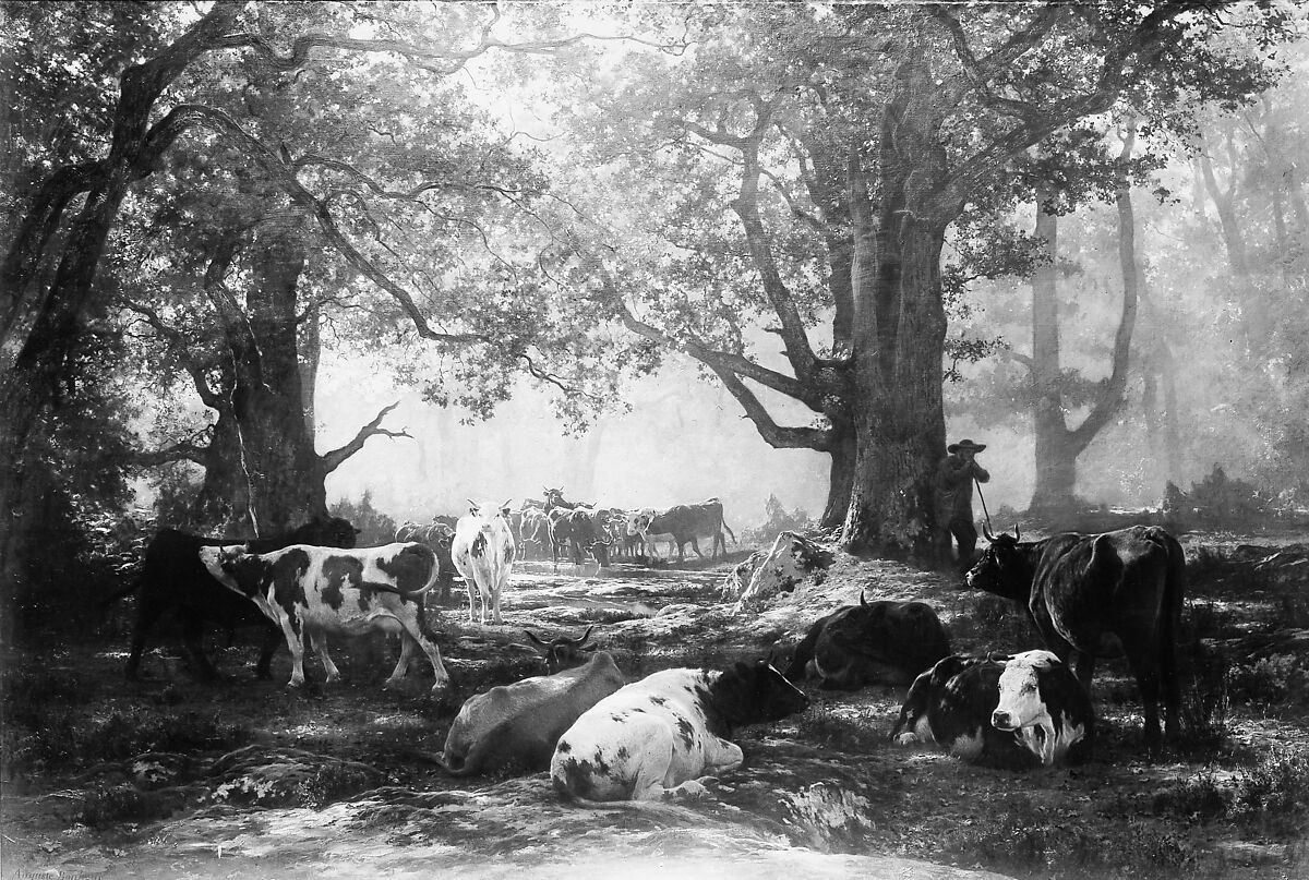 Environs of Fontainebleau: Woodland and Cattle, Auguste-François Bonheur (French, Bordeaux 1824–1884 Bellevue), Oil on canvas 
