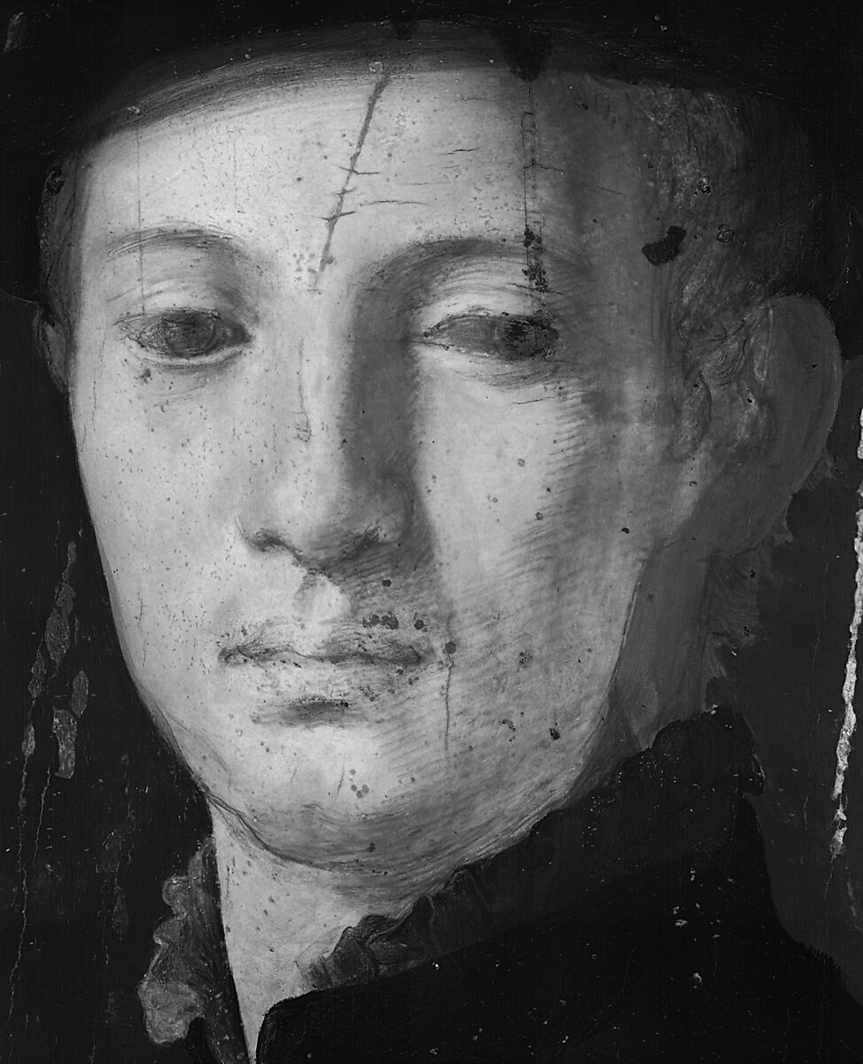 Portrait of a Young Man, Bronzino (Agnolo di Cosimo di Mariano) (Italian, Monticelli 1503–1572 Florence), Oil on wood