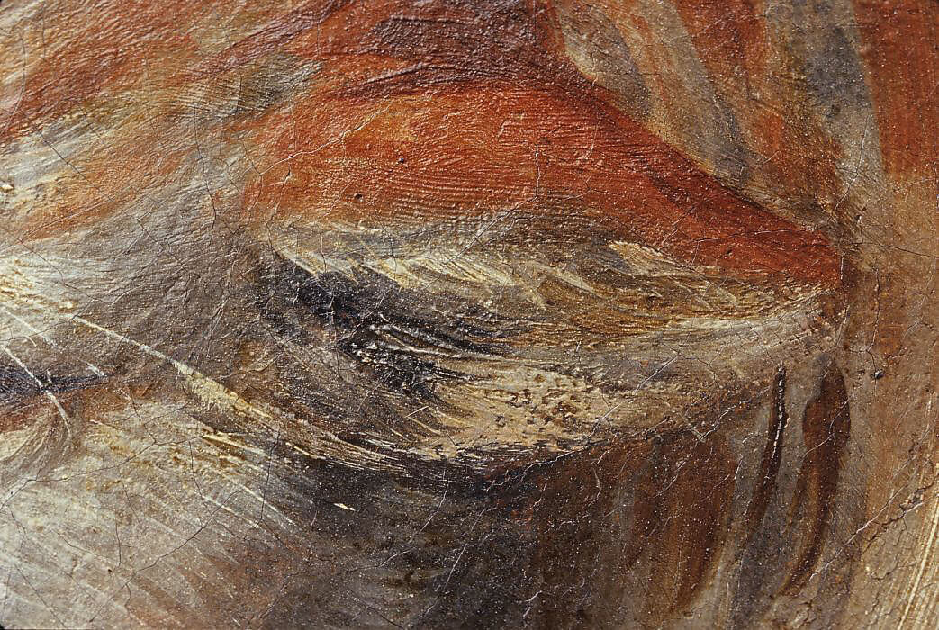 Two Children Teasing a Cat, Annibale Carracci (Italian, Bologna 1560–1609 Rome), Oil on canvas