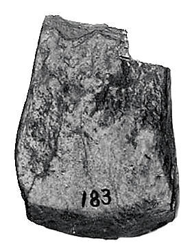 Hatchet, Nephrite, Switzerland 