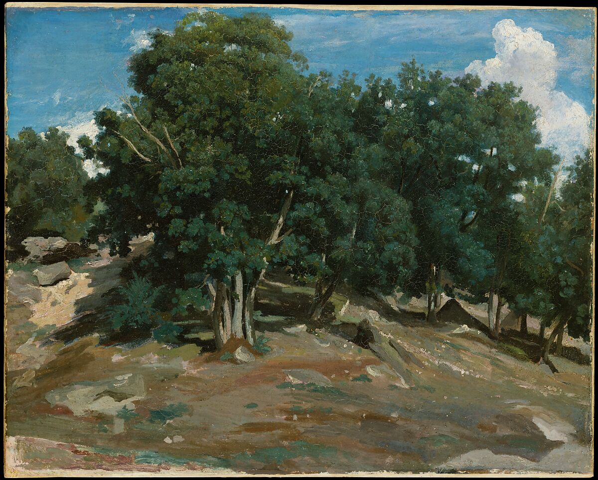 Fontainebleau: Oak Trees at Bas-Bréau, Camille Corot (French, Paris 1796–1875 Paris), Oil on paper, laid down on wood 