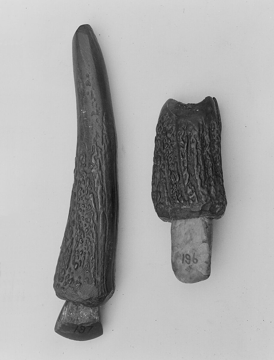 Knife, Nephrite, deerhorn handle, Switzerland