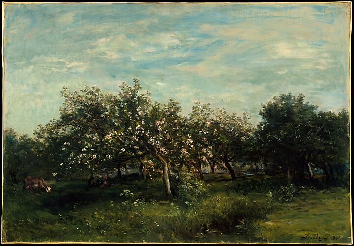 Apple Blossoms