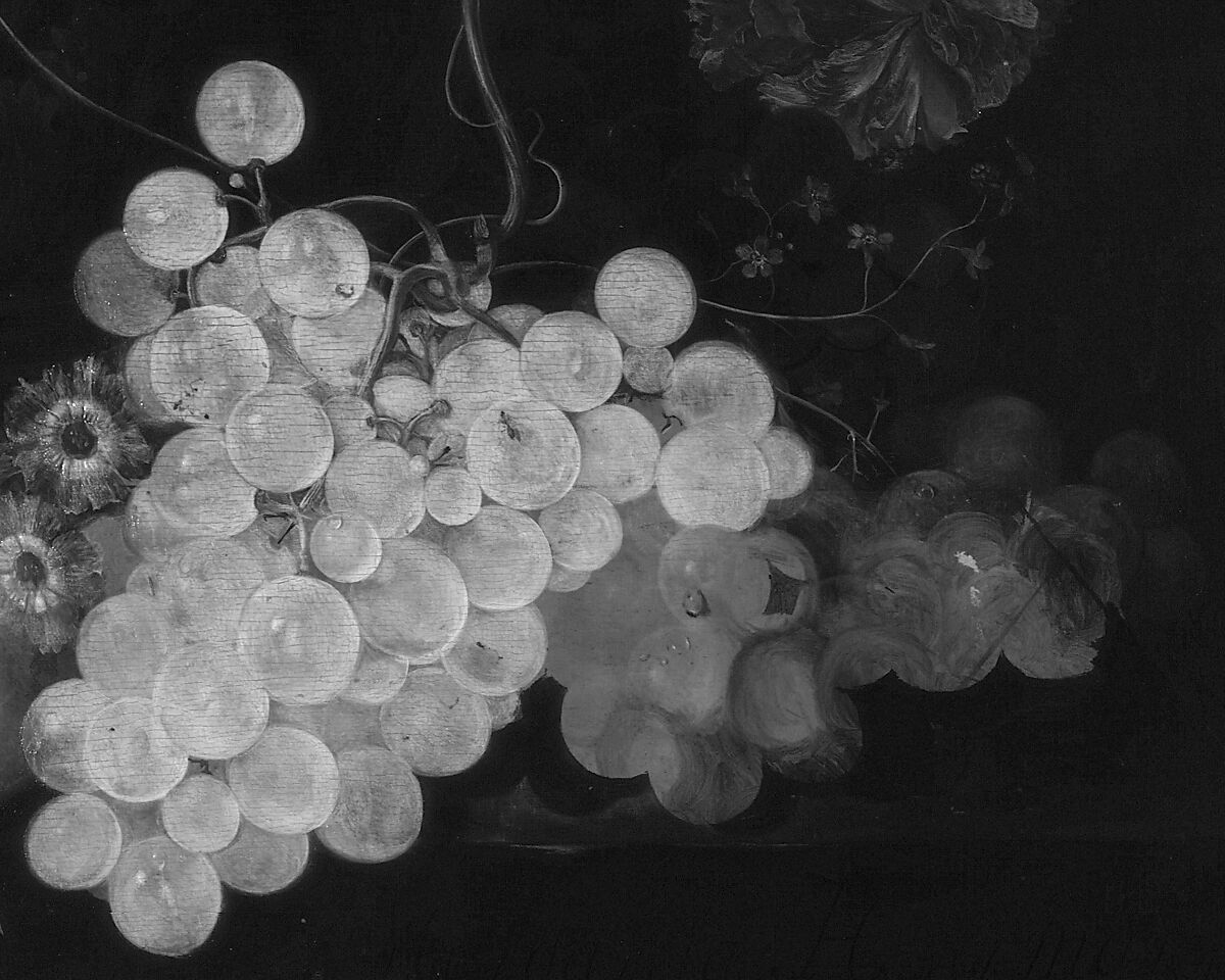 A Vase of Flowers, Margareta Haverman (Dutch, Breda 1693–1722 or later), Oil on wood