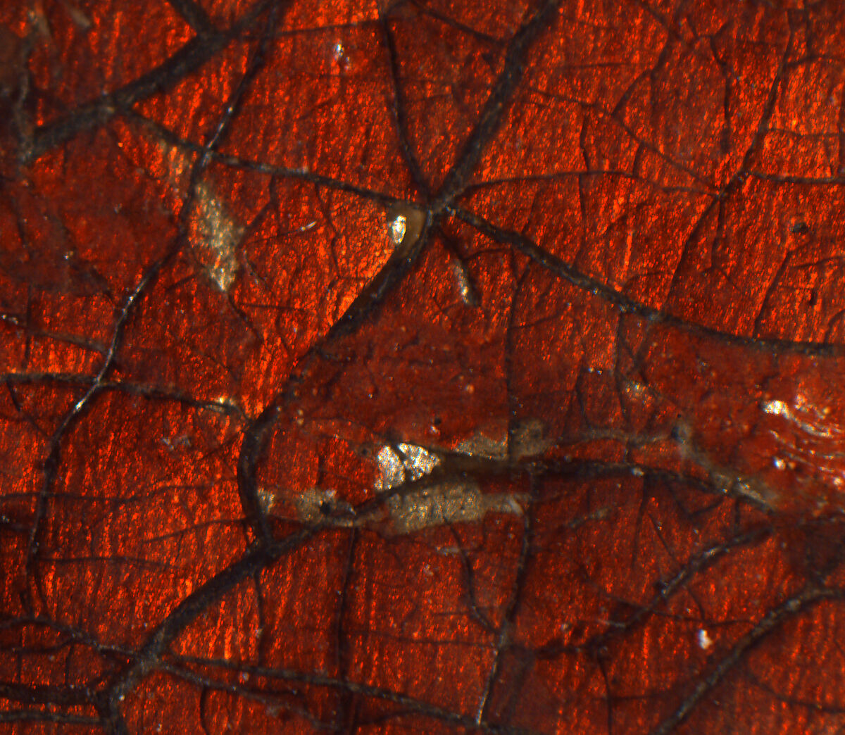 Francis I (1494–1547), King of France, Workshop of Joos van Cleve (Netherlandish, Cleve ca. 1485–1540/41 Antwerp), Oil on canvas, transferred from wood