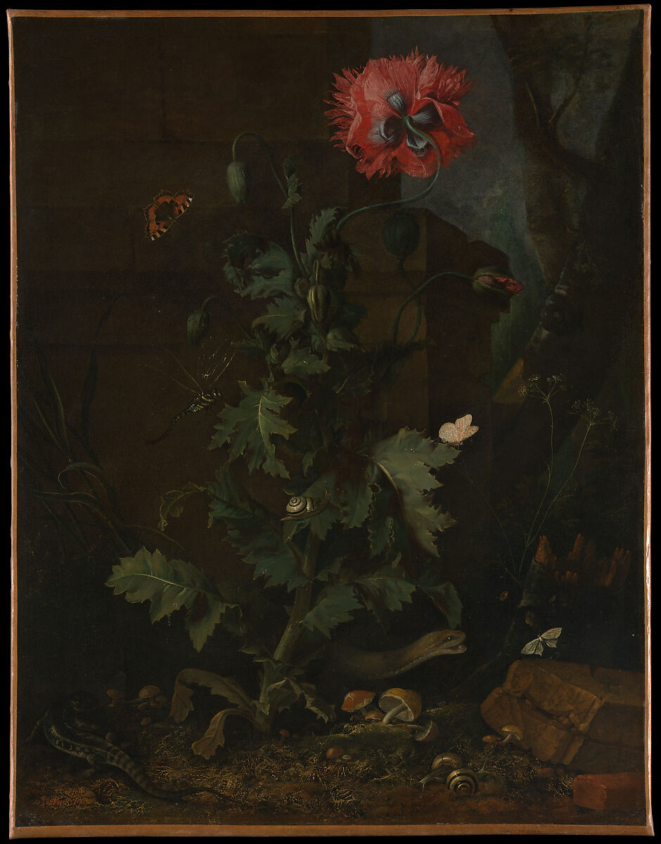Still Life with Poppy, Insects, and Reptiles, Otto Marseus van Schrieck (Dutch, Nijmegen 1619/20–1678 Amsterdam), Oil on canvas 