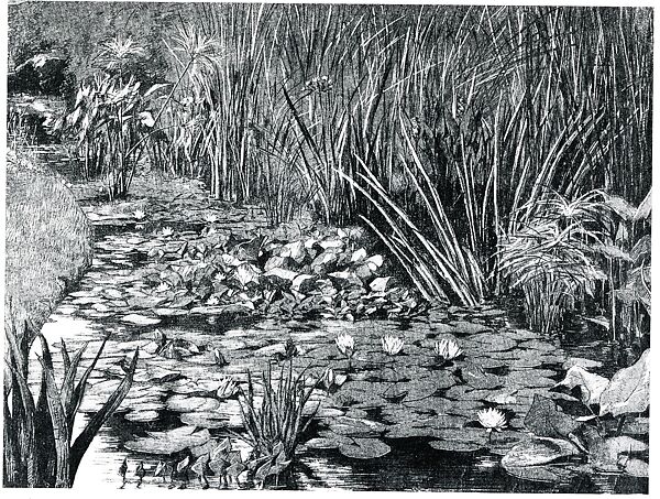 Bridge over a Pond of Water Lilies, Claude Monet (French, Paris 1840–1926 Giverny), Oil on canvas