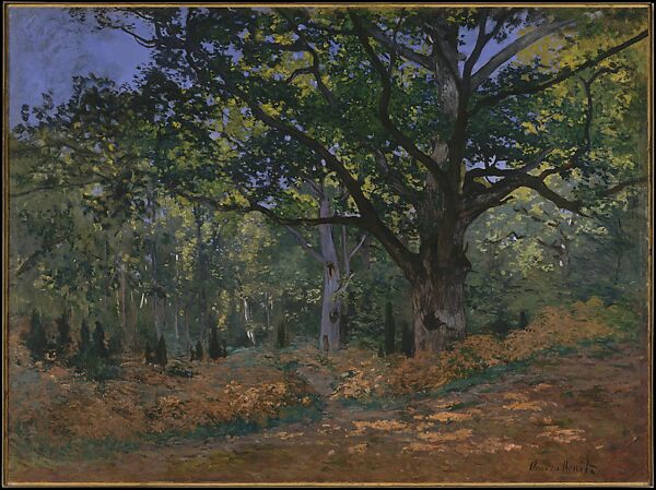 The Bodmer Oak, Fontainebleau Forest, Claude Monet (French, Paris 1840–1926 Giverny), Oil on canvas 