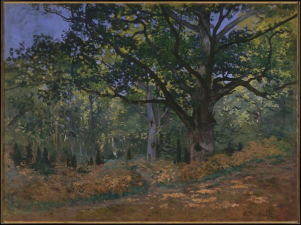 The Bodmer Oak, Fontainebleau Forest, Claude Monet  French, Oil on canvas