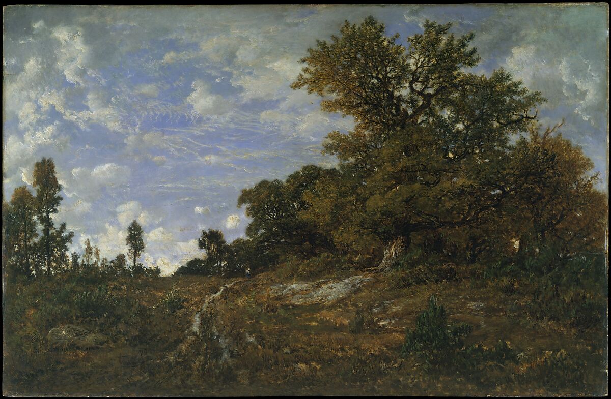 The Edge of the Woods at Monts-Girard, Fontainebleau Forest, Théodore Rousseau (French, Paris 1812–1867 Barbizon), Oil on wood 