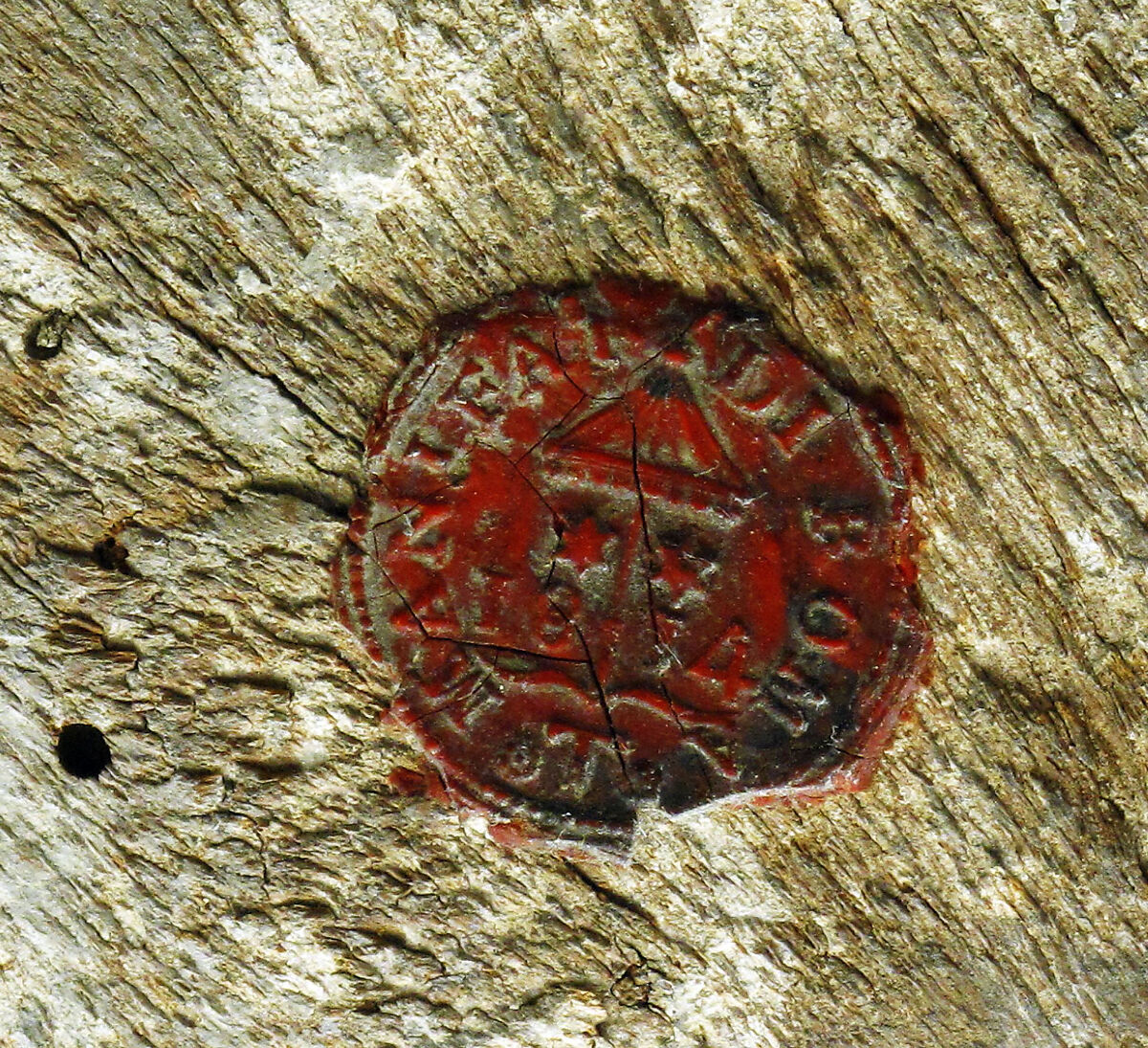Madonna and Child with Angels, Sassetta (Stefano di Giovanni) (Italian, Siena or Cortona ca. 1400–1450 Siena), Tempera on wood, gold ground