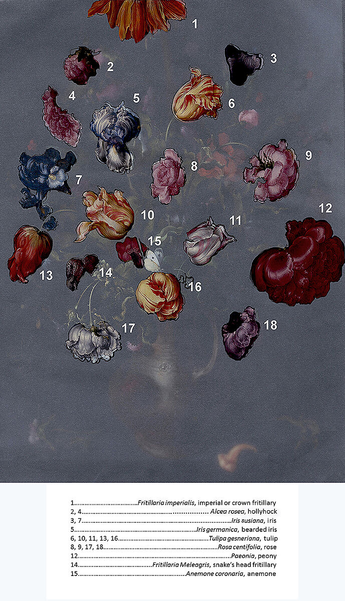 A Vase with Flowers, Jacob Vosmaer (Dutch, Delft ca. 1584–1641 Delft), Oil on wood