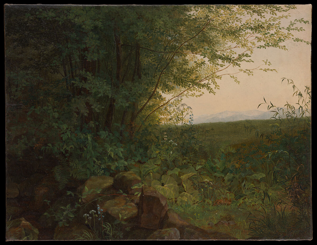 At the Edge of the Forest, August Heinrich (German, Dresden 1794–1822 Innsbruck), Oil on canvas 