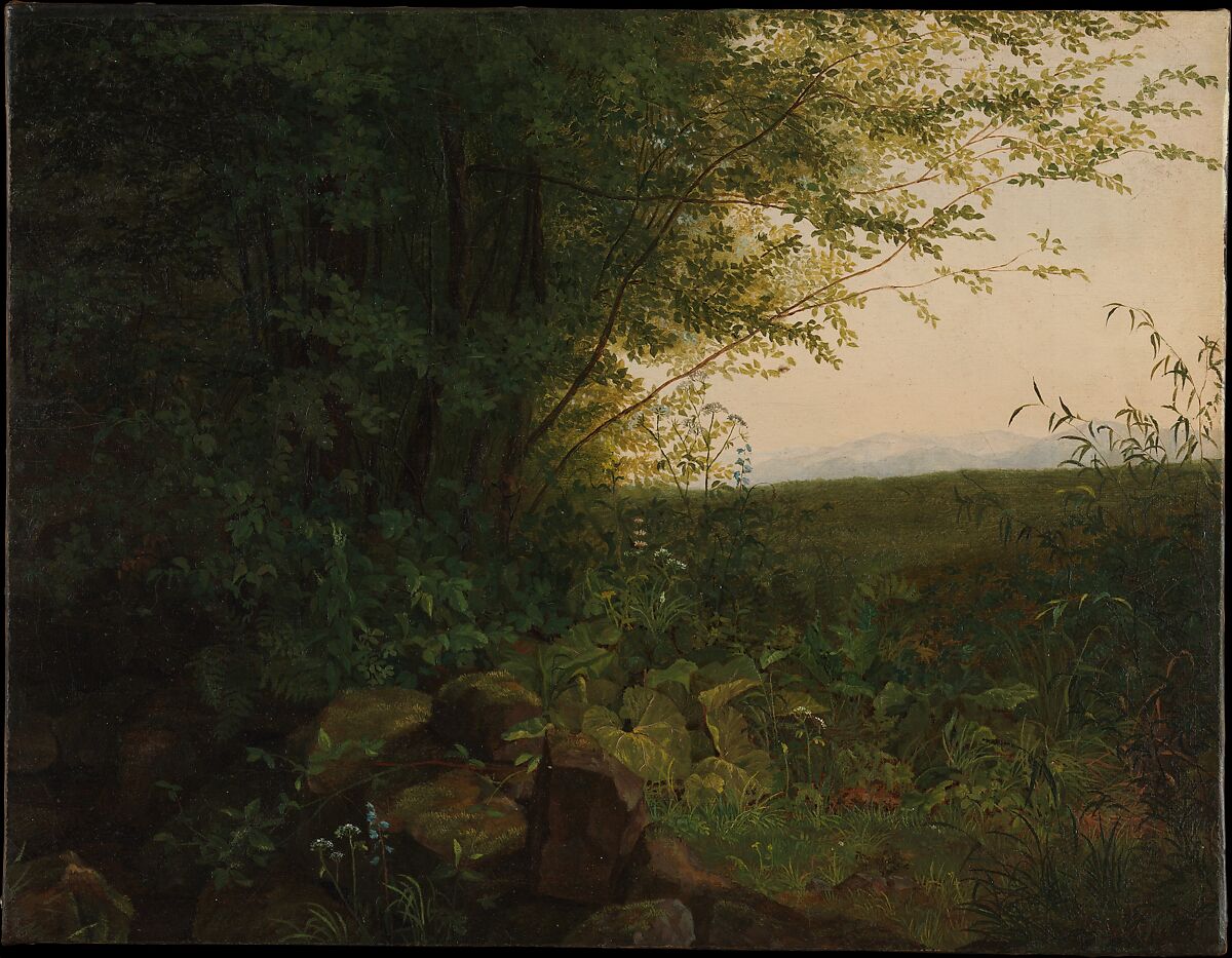 At the Edge of the Forest, August Heinrich (German, Dresden 1794–1822 Innsbruck), Oil on canvas 