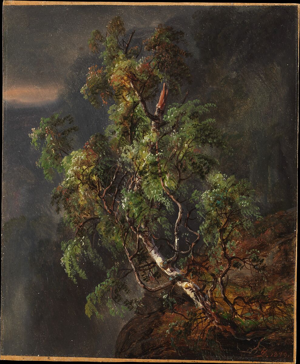 Birch Tree in a Storm, Johan Christian Dahl (Norwegian, Bergen 1788–1857 Dresden), Oil on paper, laid down on cardboard 