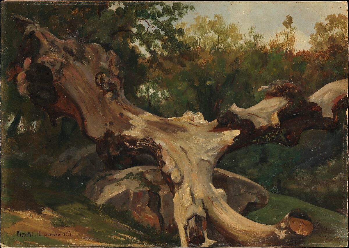 Uprooted Tree at Olevano Romano, Antoine-Xavier-Gabriel de Gazeau, comte de La Bouëre (French, Jallais 1801–1881 Grenoble), Oil on paper, laid down on cardboard 
