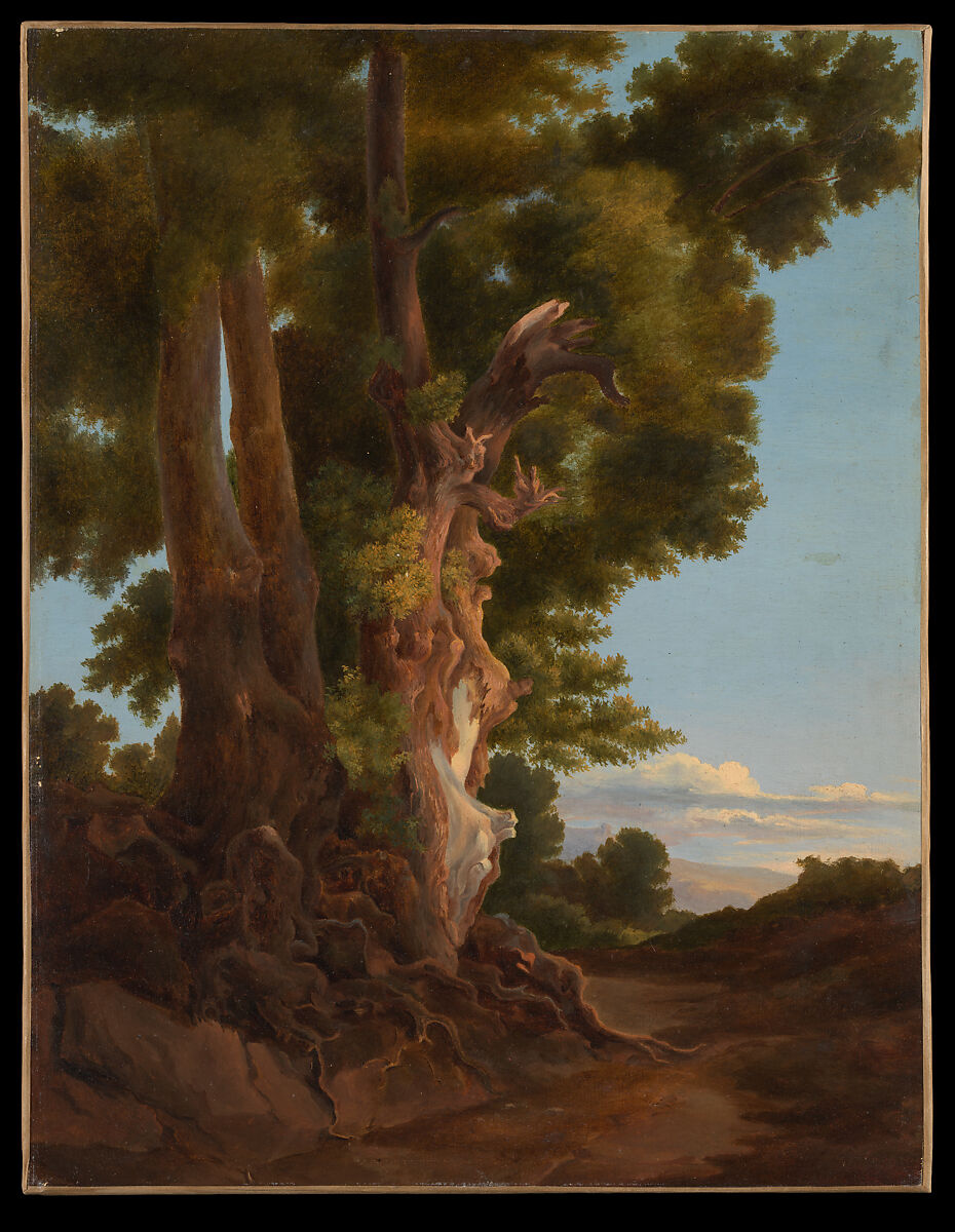 Blasted Tree, Johann Erdmann Hummel (German, Kassel 1769–1852 Berlin), Oil on paper, laid down on canvas 