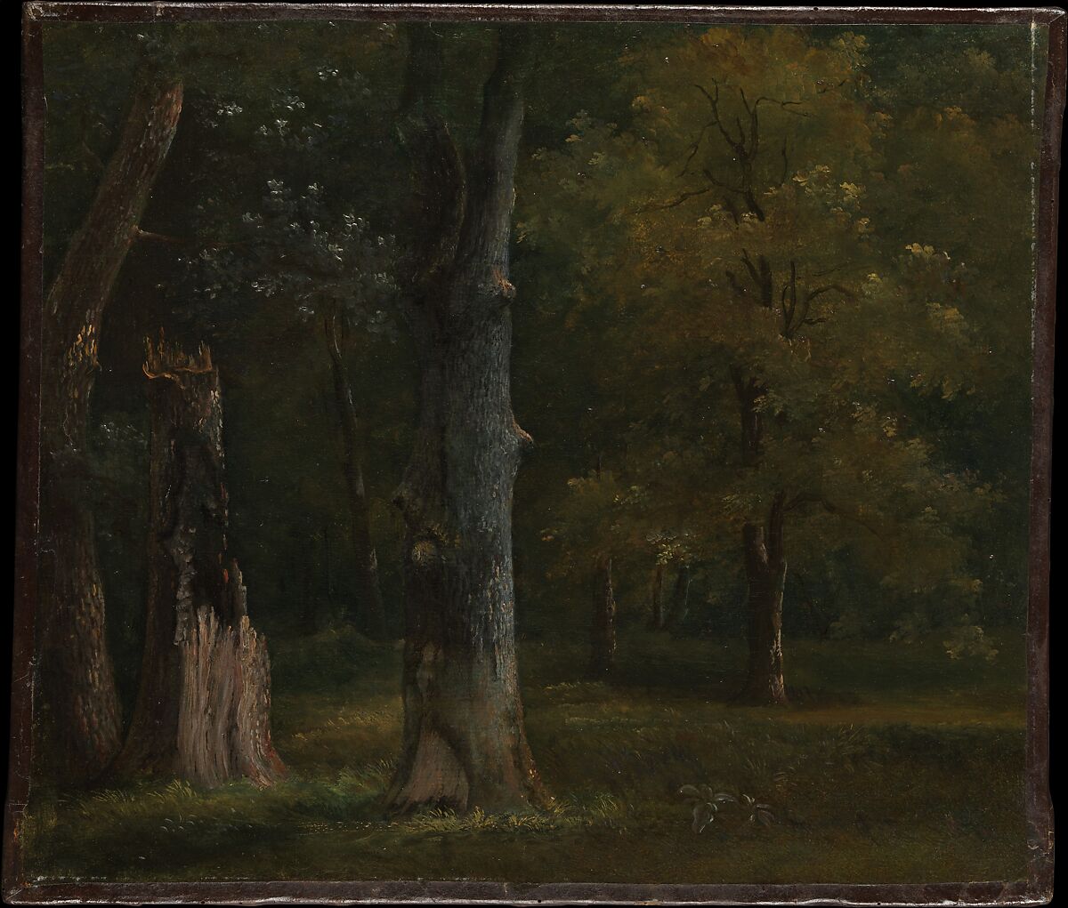 Trees in the Bois de Boulogne, Paris, Achille-Etna Michallon (French, Paris 1796–1822 Paris), Oil on paper, laid down on canvas 