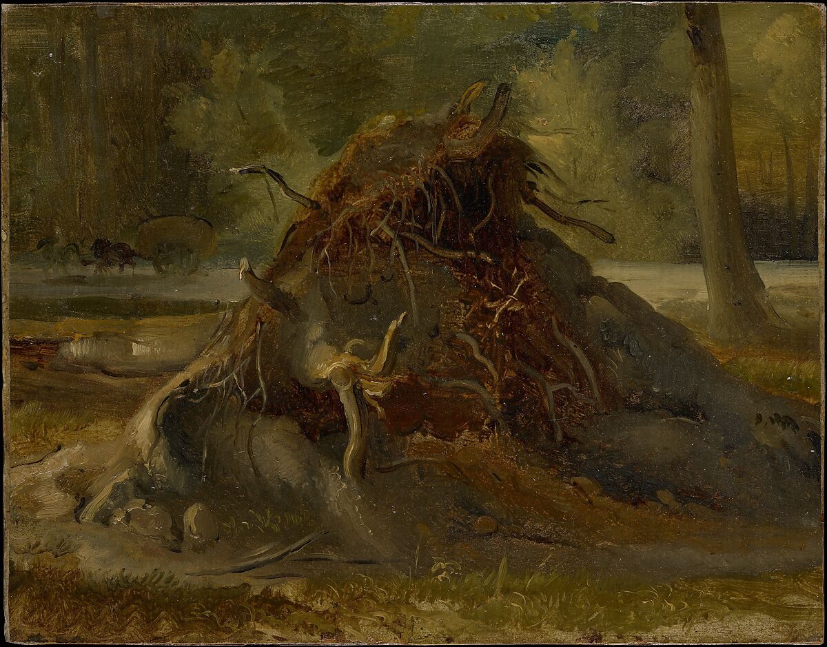 Study of the Roots of a Fallen Tree, François-Edme Ricois (French, Courtalain 1795–1881 Paris), Oil on paper, laid down on illustration board 