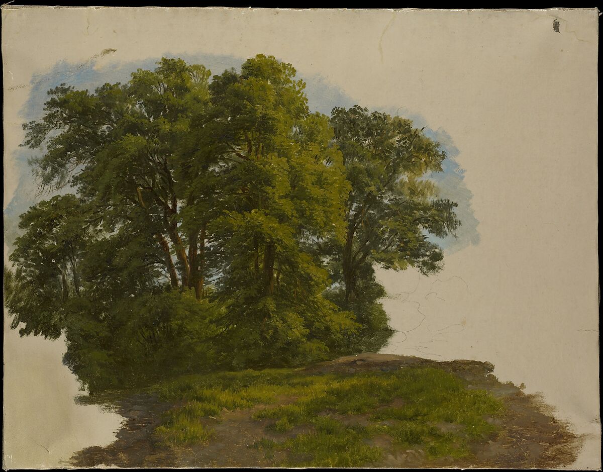 Cluster of Trees, Gilles-François-Joseph Closson (Belgian, Liège 1796–1853 Liège), Oil on paper, laid down on canvas 