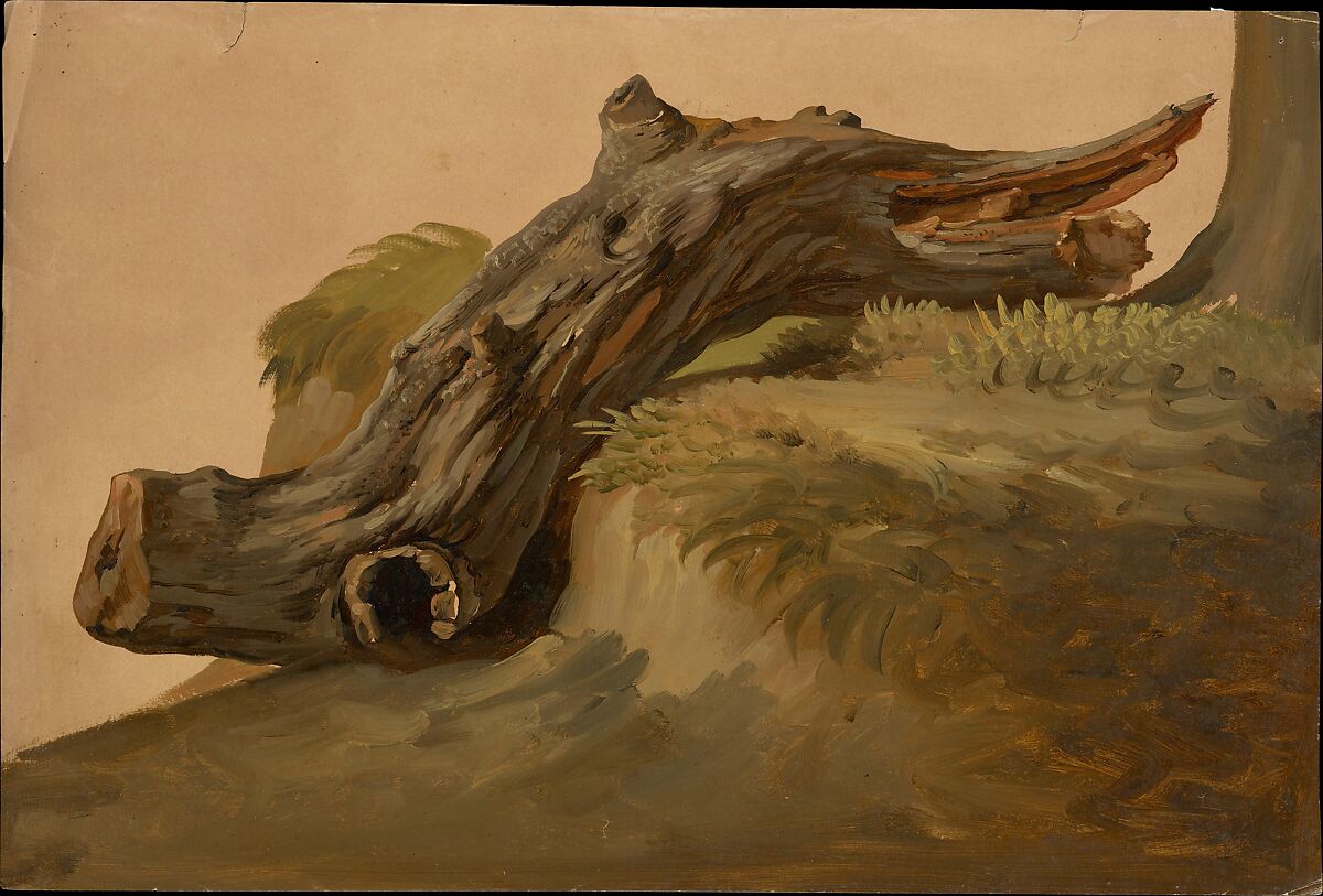 Chestnut Limb, Ischia, Simon Denis (Flemish, Antwerp 1755–1813 Naples), Oil on paper 