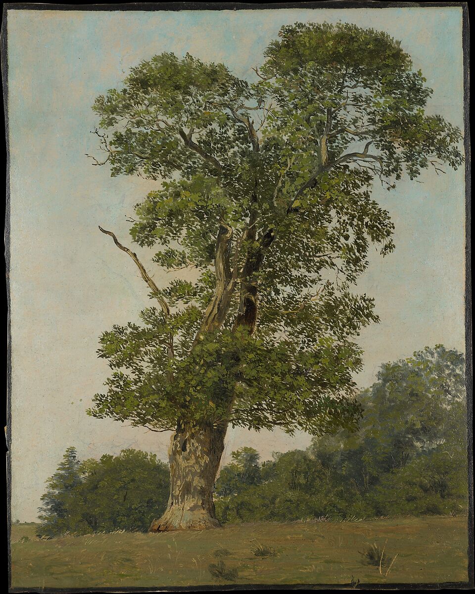 A Large Oak, Lorenz Frølich  Danish, Oil on paper