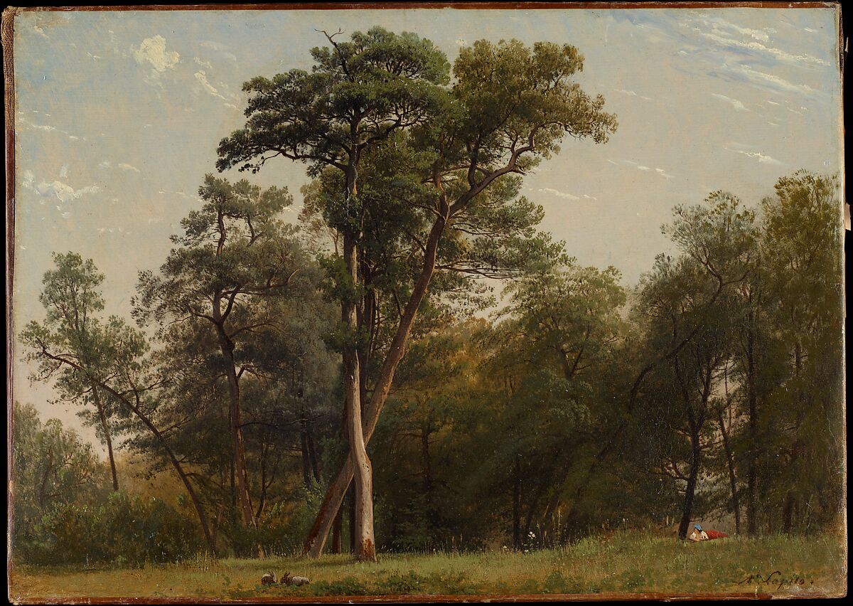 Clearing at the Edge of a Wood, Louis-Auguste Lapito (French, Joinville-le-Pont 1803–1874 Boulogne-sur-Seine), Oil on paper, laid down on canvas 