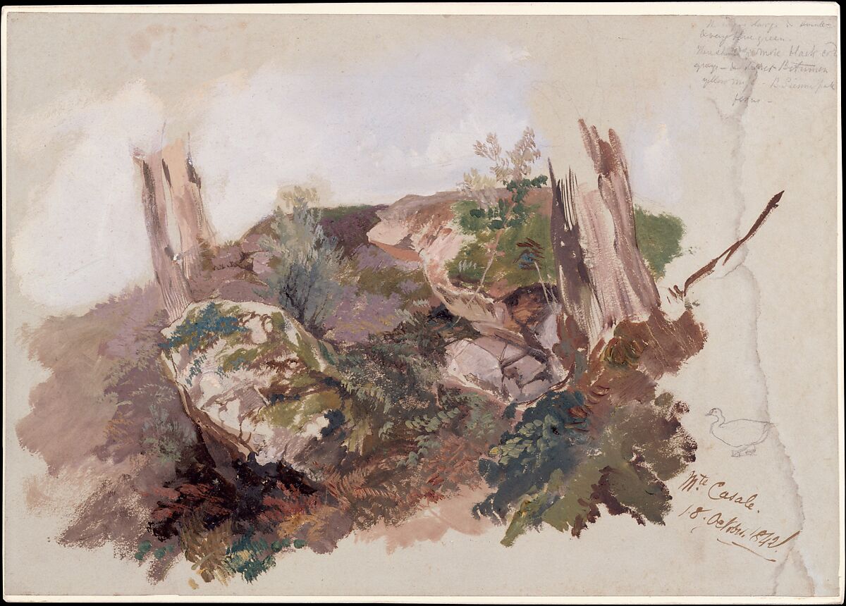 Study of Rocks, Shrubs, and Tree Trunks at Monte Casale near Sansepolcro, Tuscany, Edward Lear (British, London 1812–1888 San Remo), Oil with traces of graphite on two pieces of blue paper mounted on canvas 