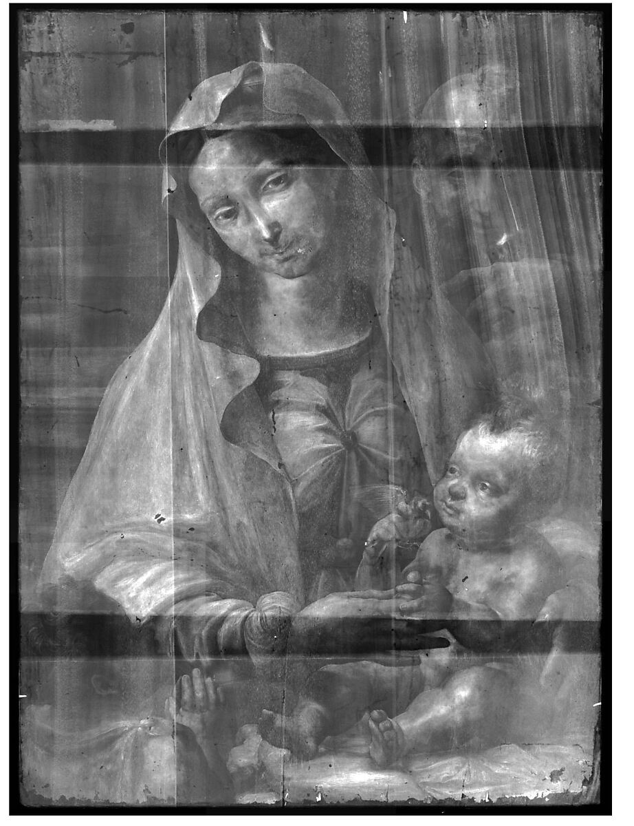 The Holy Family with the Infant Saint John the Baptist, Perino del Vaga (Pietro Buonaccorsi) (Italian, Florence 1501–1547 Rome), Oil on wood