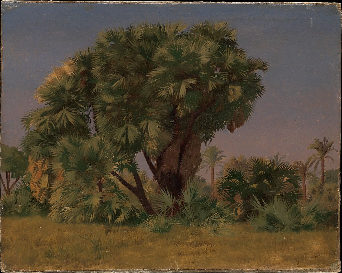 Study of Palm Trees, Jean-Léon Gérôme (French, Vesoul 1824–1904 Paris), Oil on canvas, laid down on board 