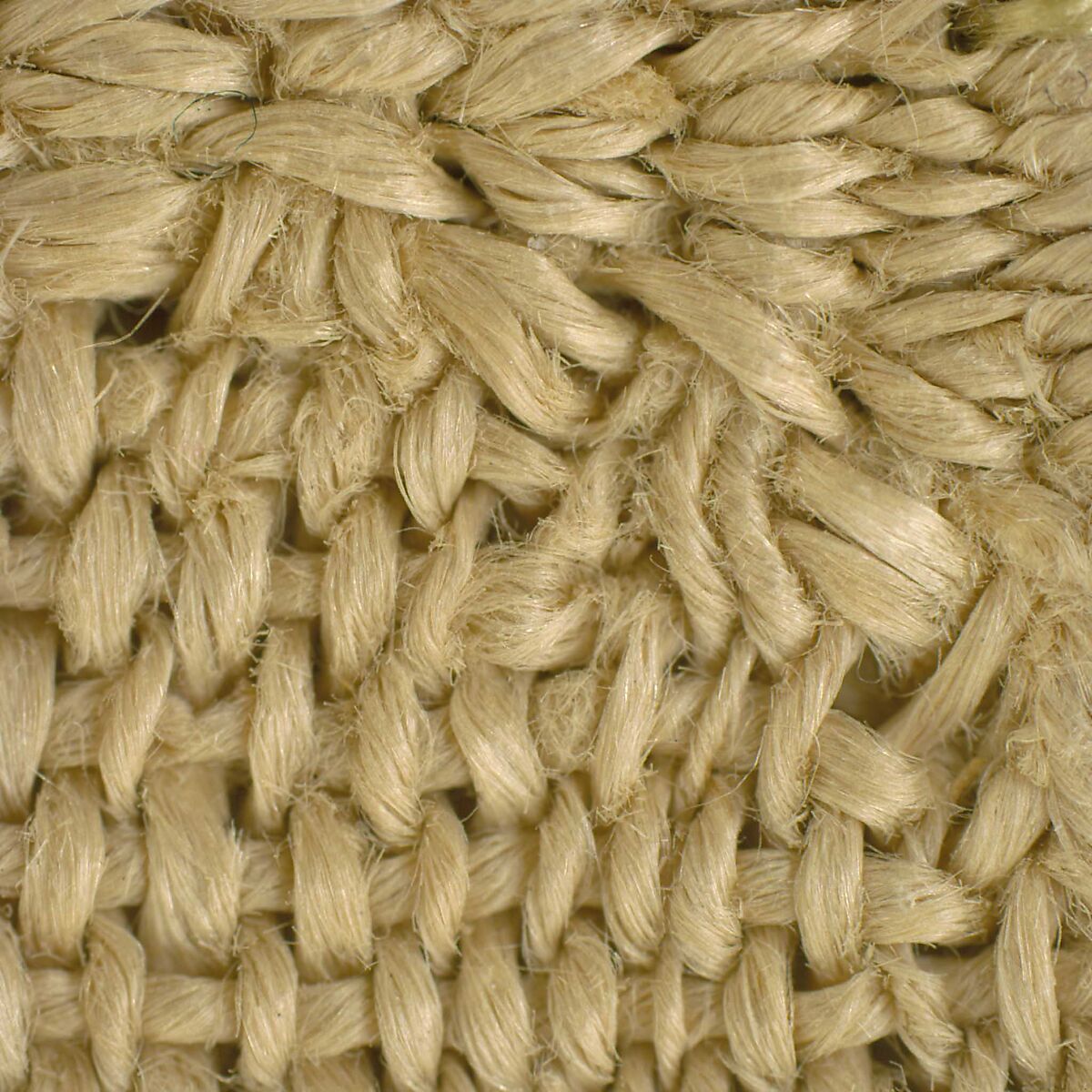 Textile Fragment with a Leaf, Wool, linen; plain weave, tapestry weave