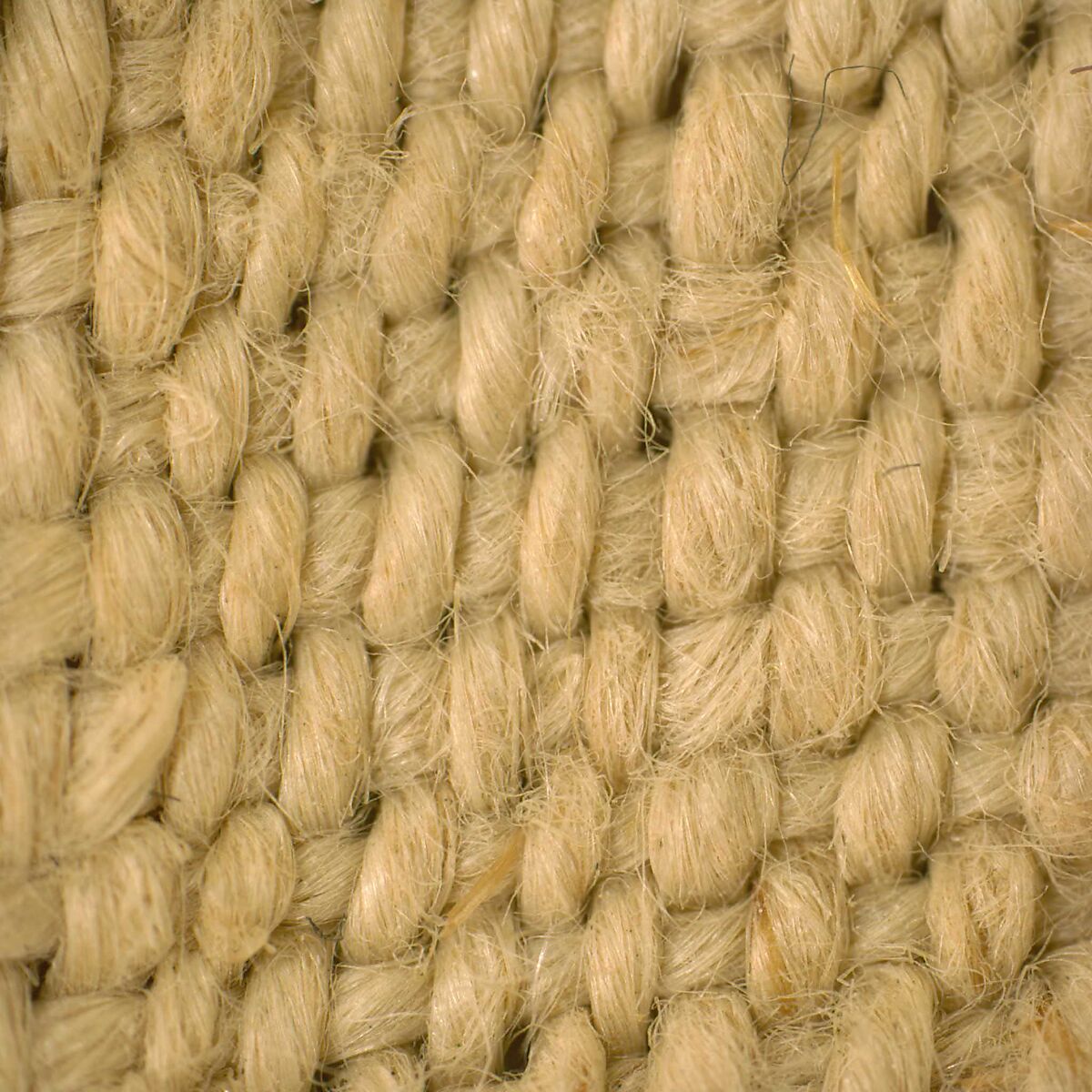 Textile Fragment, Wool, linen; plain weave, tapestry weave, weft loop weave